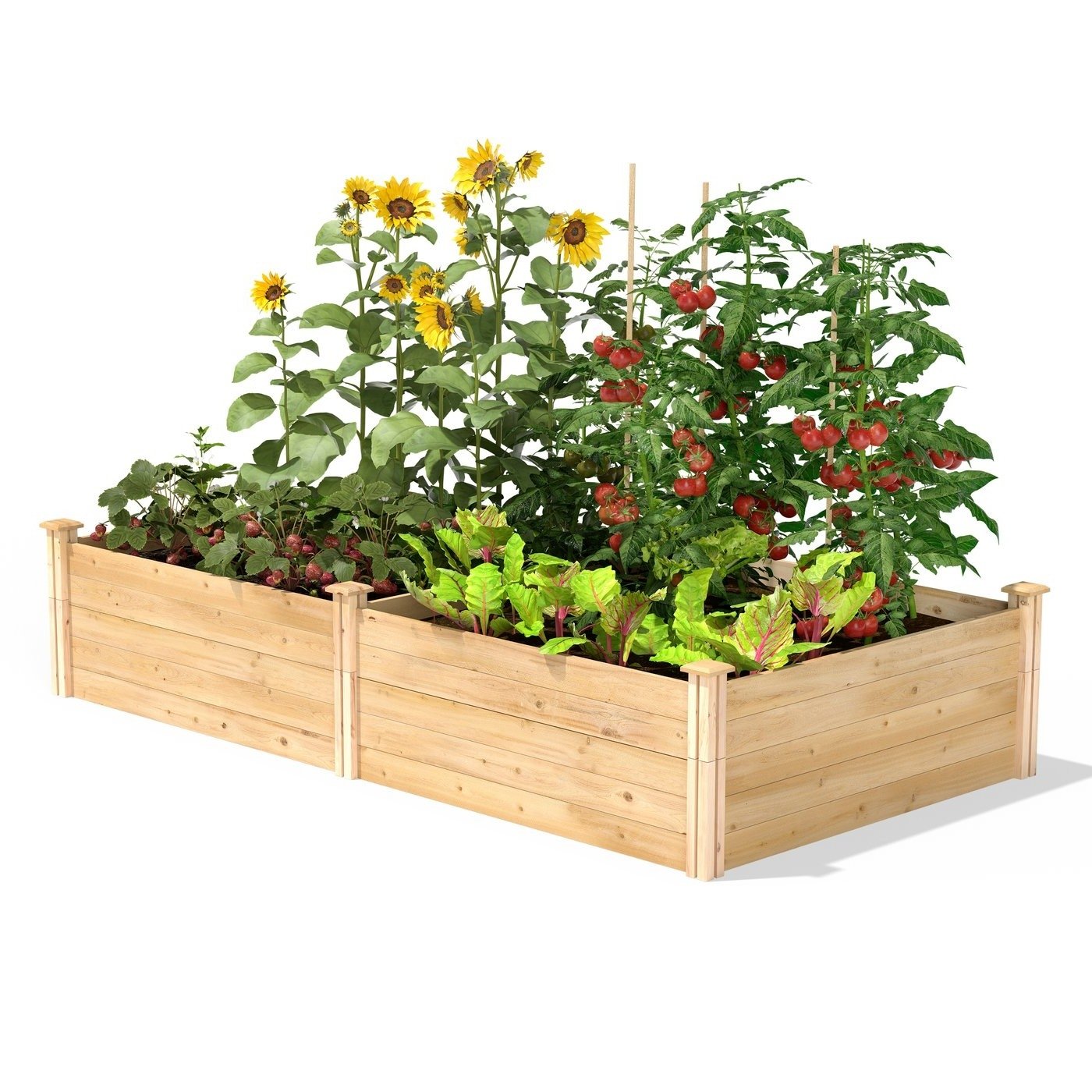 17-inch High Pine Wood Raised Garden Bed 4 ft x 8 ft - Made in USA