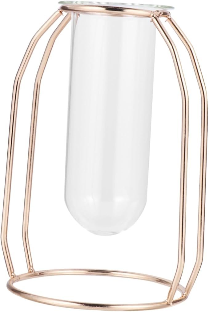Glass Tube Vase Hydroponics Planter with Metal Frame Creative Flower Planter for Home Office Decor for Tulips Roses and Branches Unique Present Idea