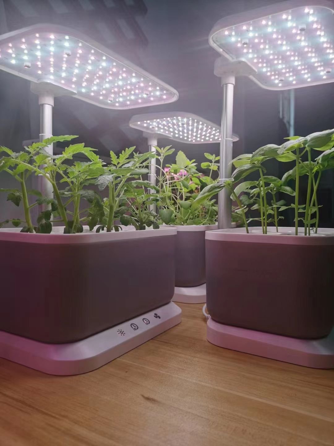 Mini Intelligent Hydroponic Planter Suitable For School, Family, Office, Home, Gift (colour: Grey)